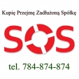 Ochrona Członków Zarządu - Pomoc /Optymalizacja JPK/KAS/ZUS/ 299/586 K.s.h